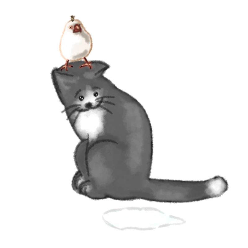 Katze und Vogel