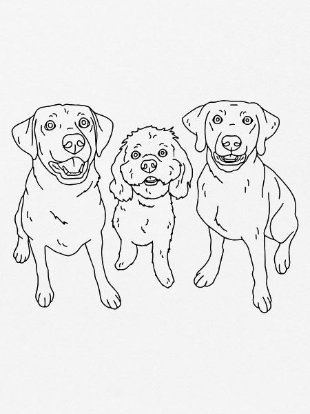 3 dogs