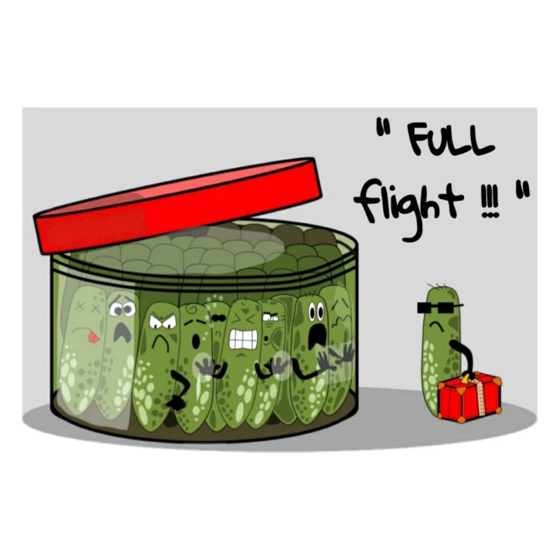 Full flight !!!