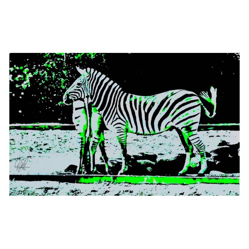 Zebra