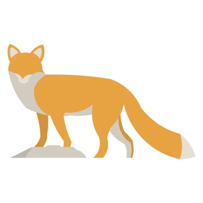 Red fox