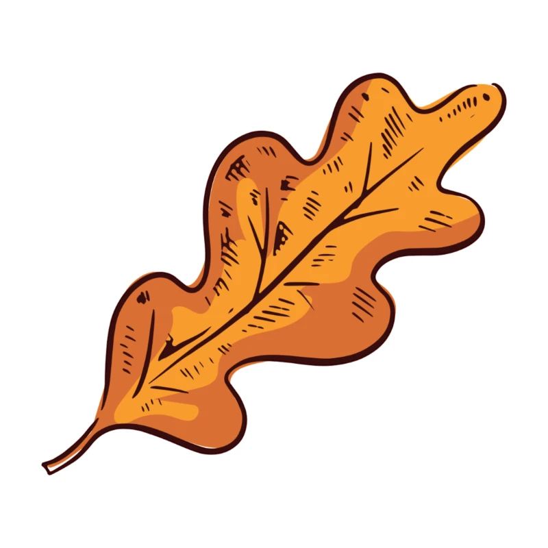 Herbstblatt Herbst Blatt
