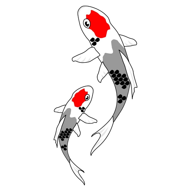 Koi rot