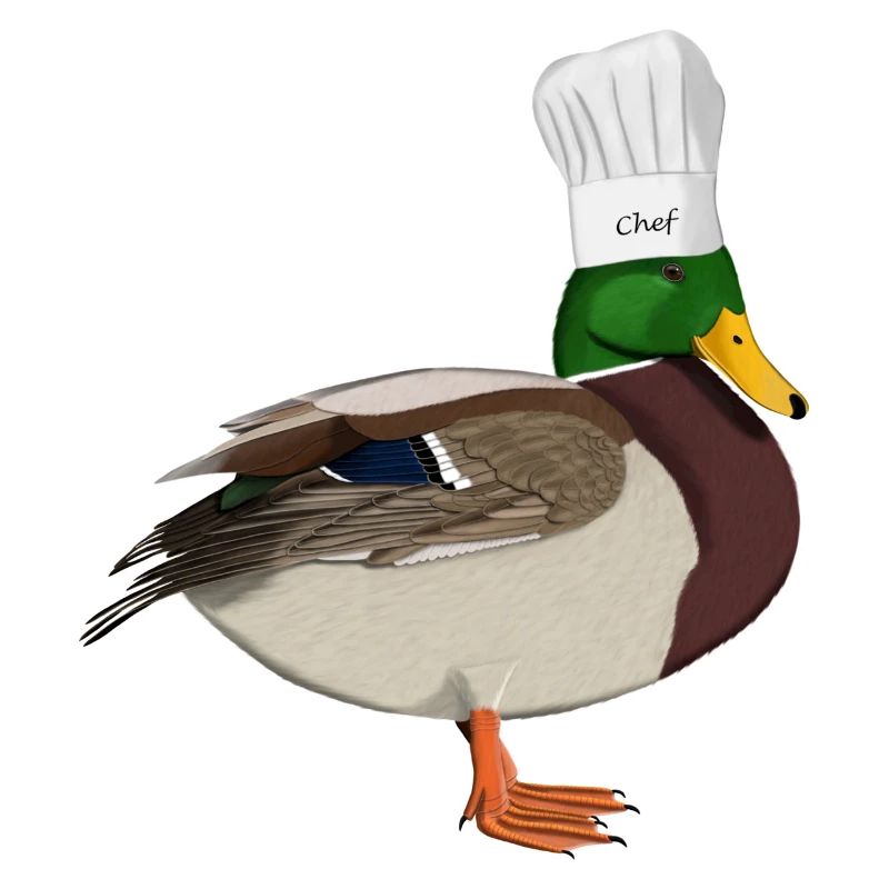 Duck Chef Chef Kitchen Bird Watcher