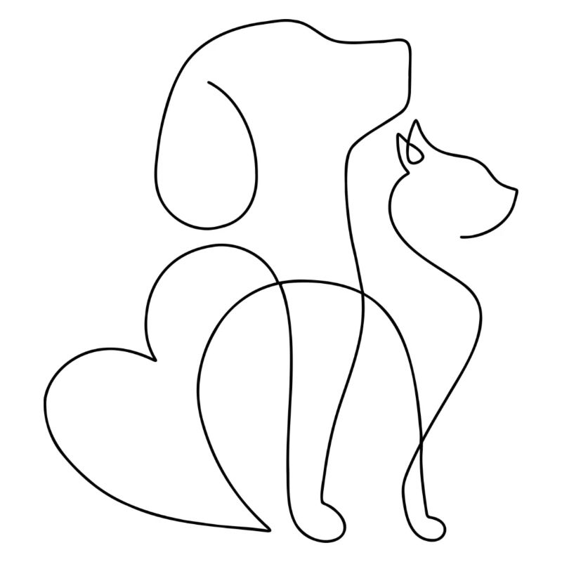 Hund und Katze