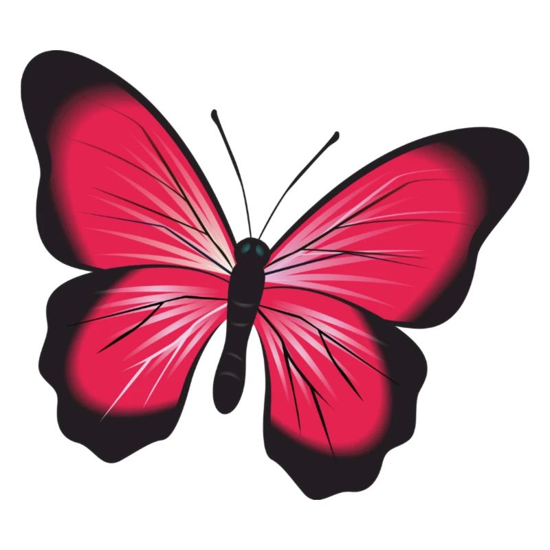 Roter Schmetterling