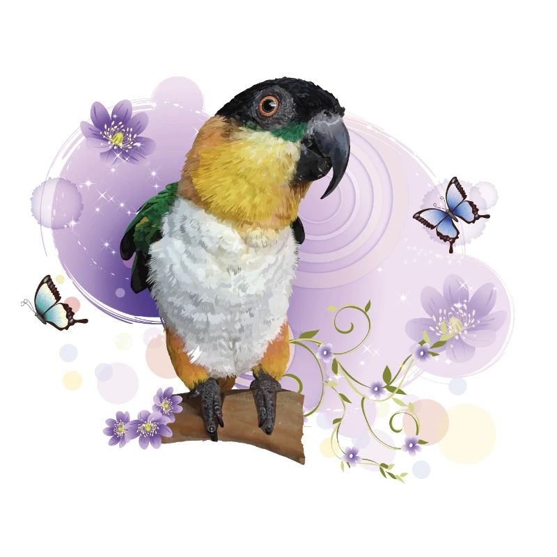 Caique