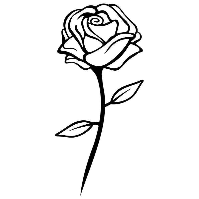 rose design