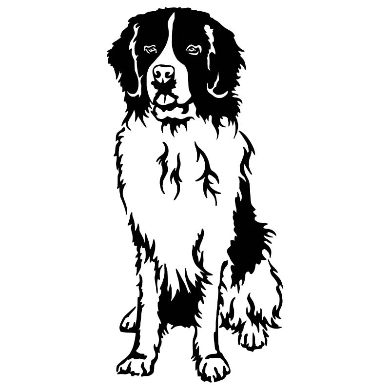 Landseer