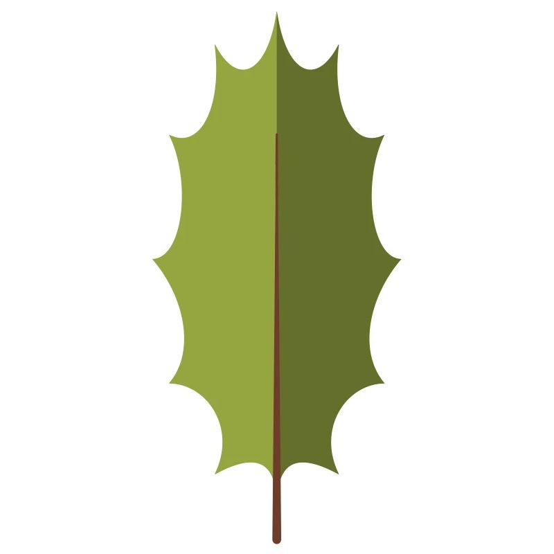 Ilexblatt