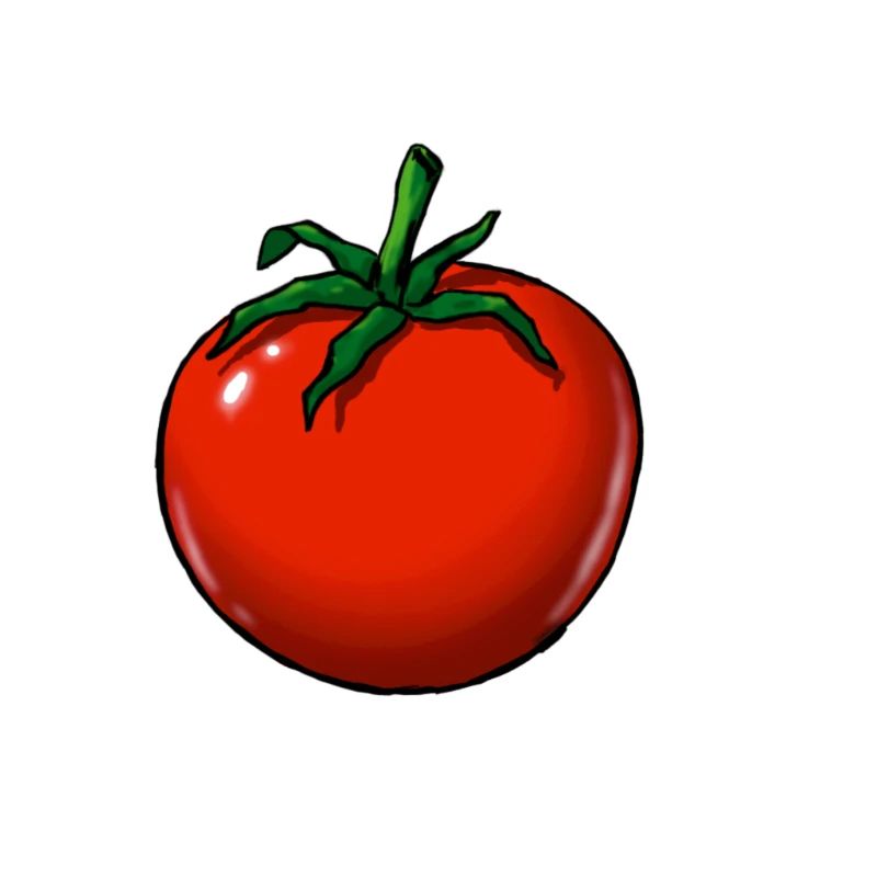 Tomate