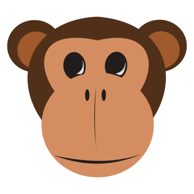 Monkey Shirt.
