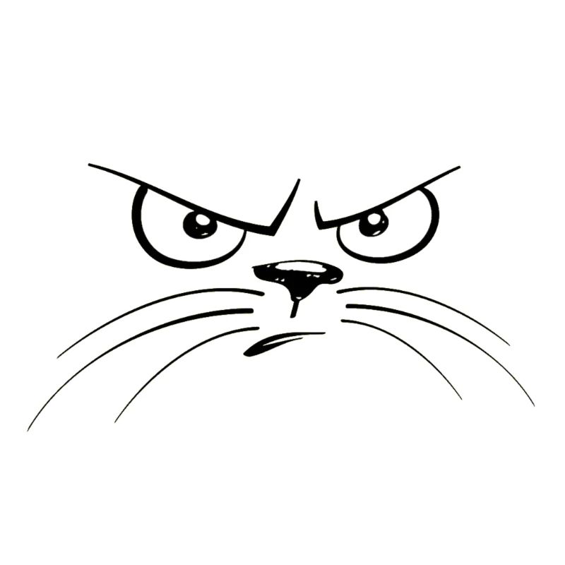 katzengesicht