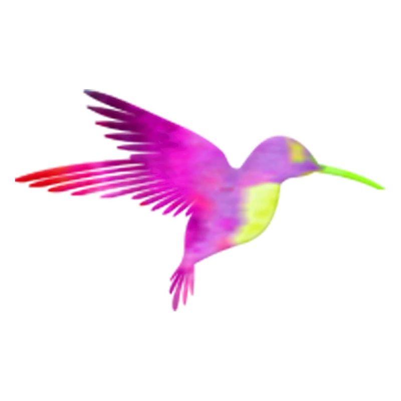 Kolibri bunt