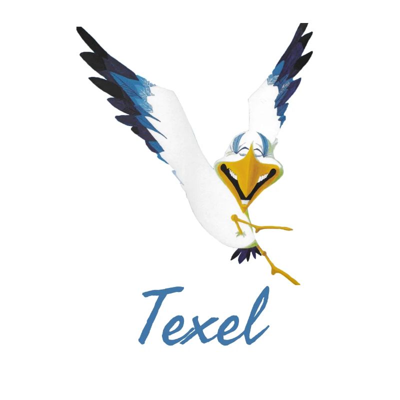 Lachmöwe Texel