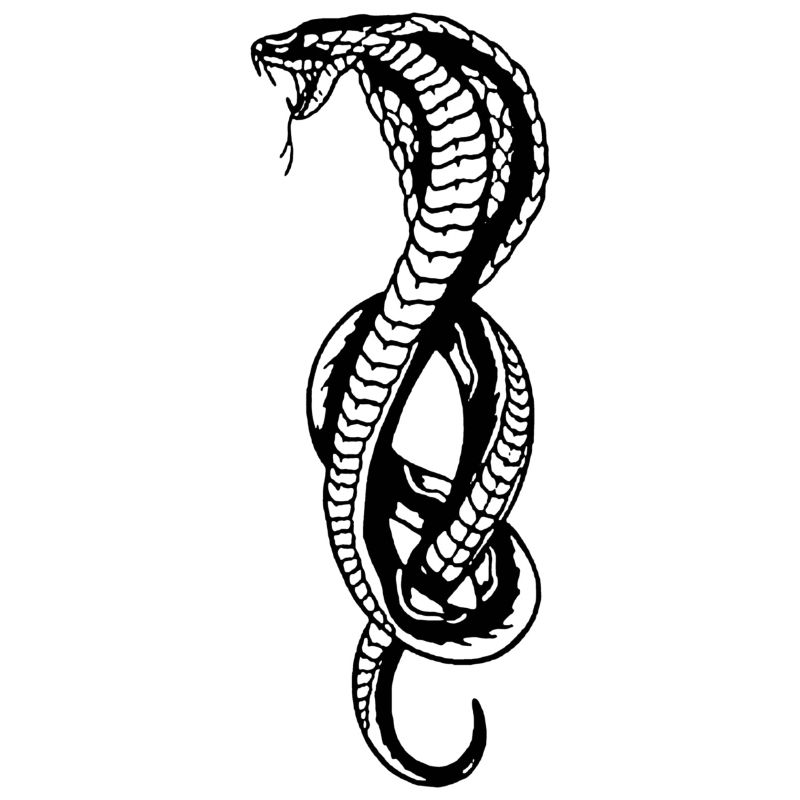 COBRA - SCHLANGE