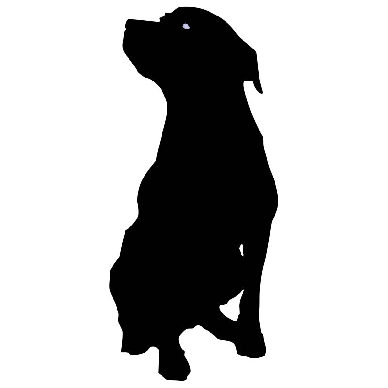 Chien