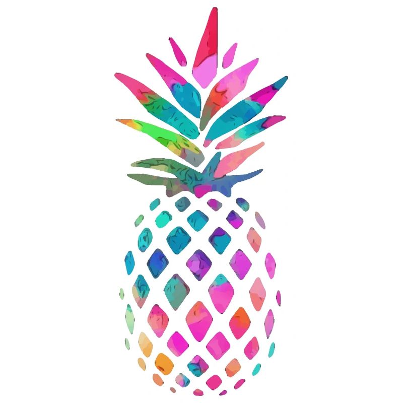 Regenbogen Ananas