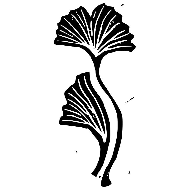 Schwarz-weißer Linoldruck Gingkoblatt