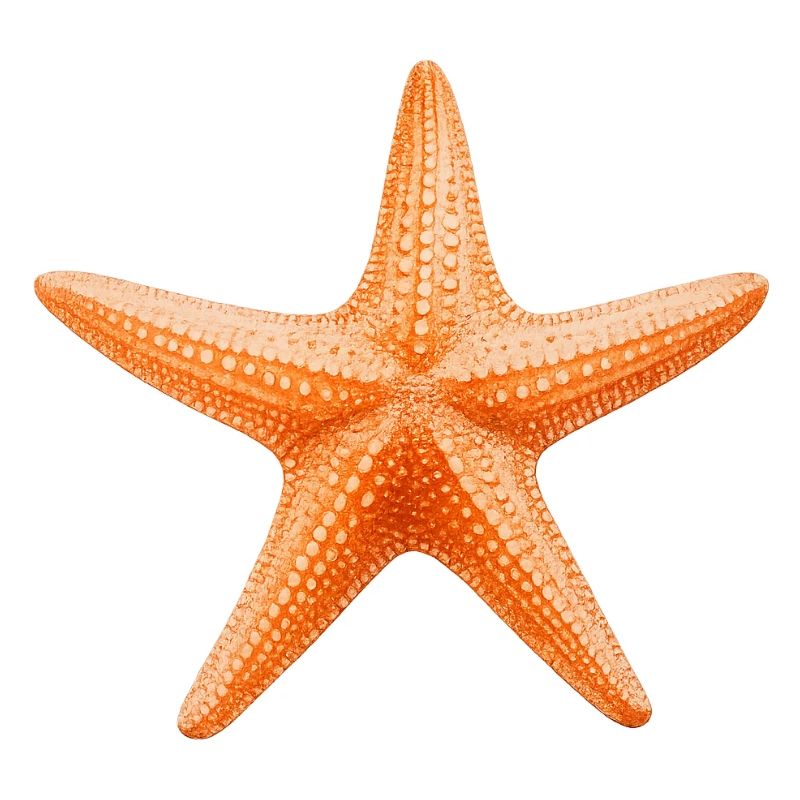 Orangener Seestern Stranddesign