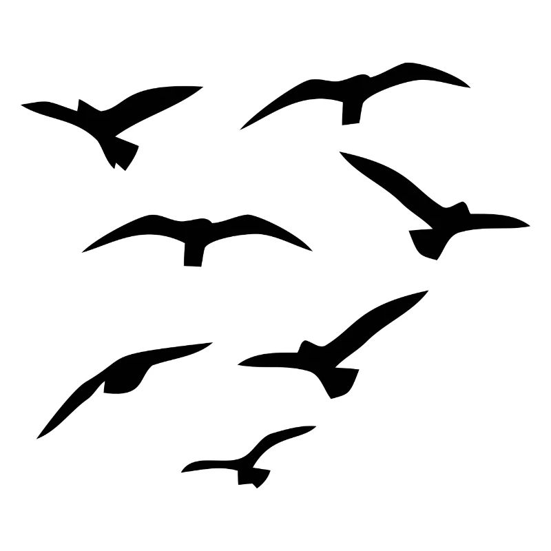 Fliegende Voegel Geschenkidee