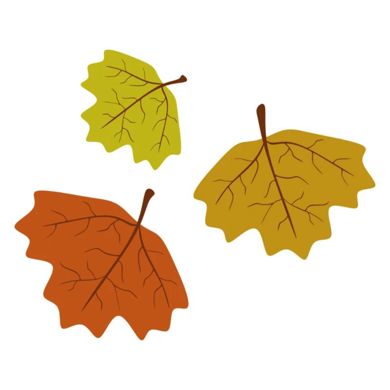 fall leaves