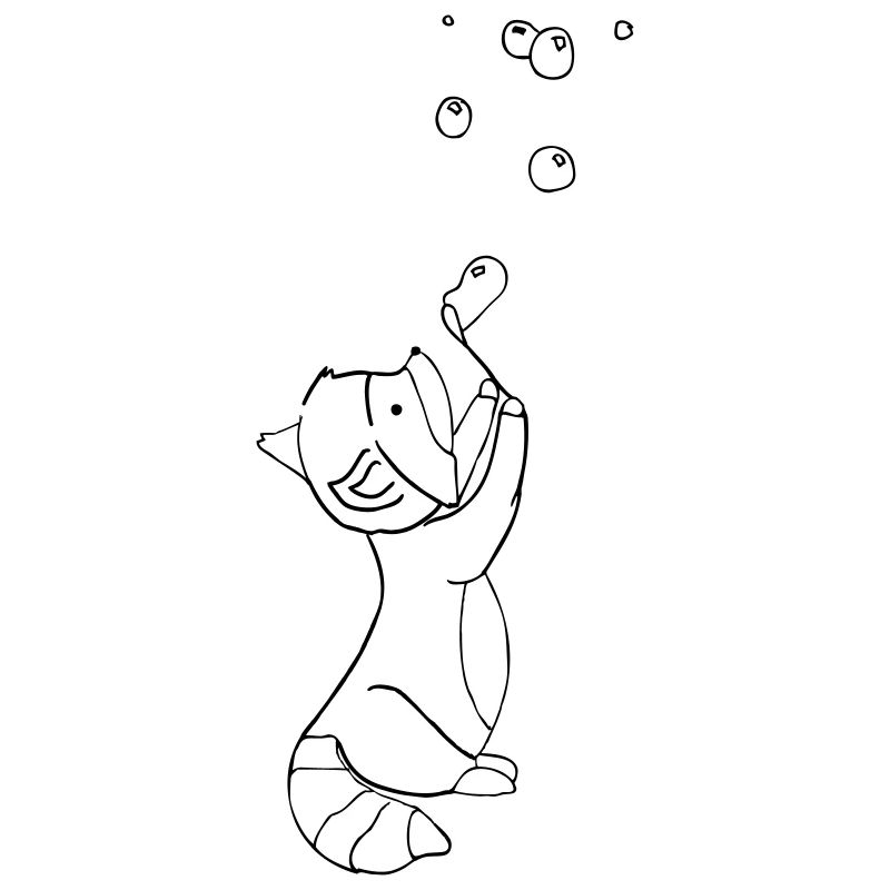 racoon outline
