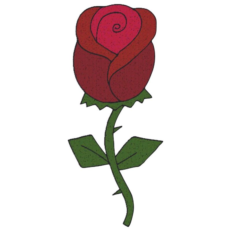 rose gewebe