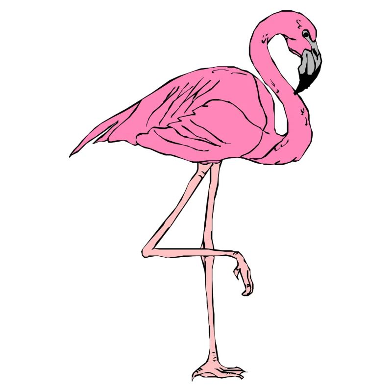 FLAMINGO