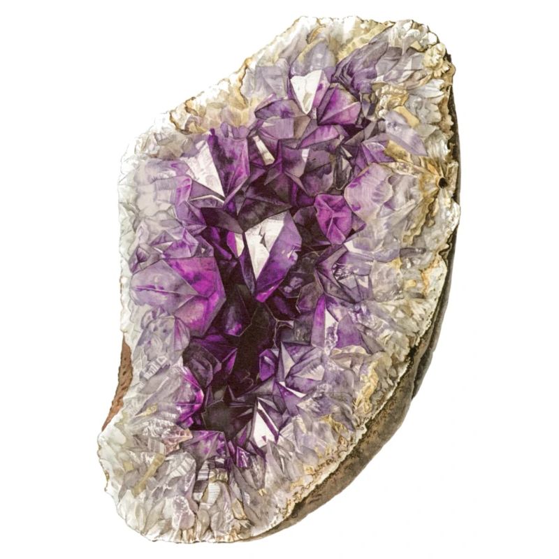 Amethyst Druse Zeichnung