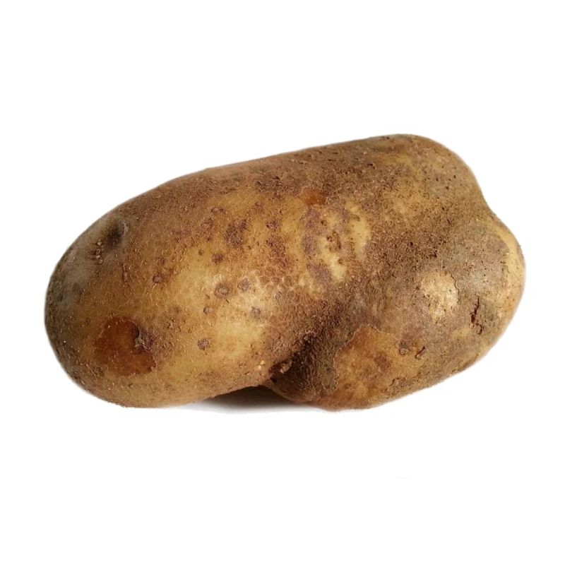 Kartoffel-Kartofflichkeit