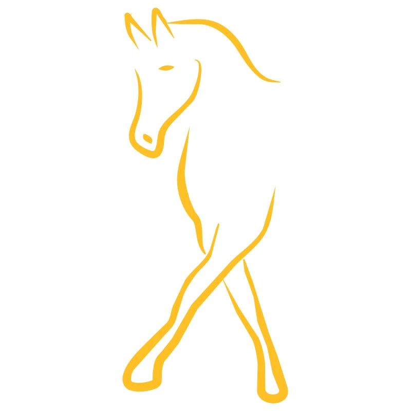 Dressurpferd