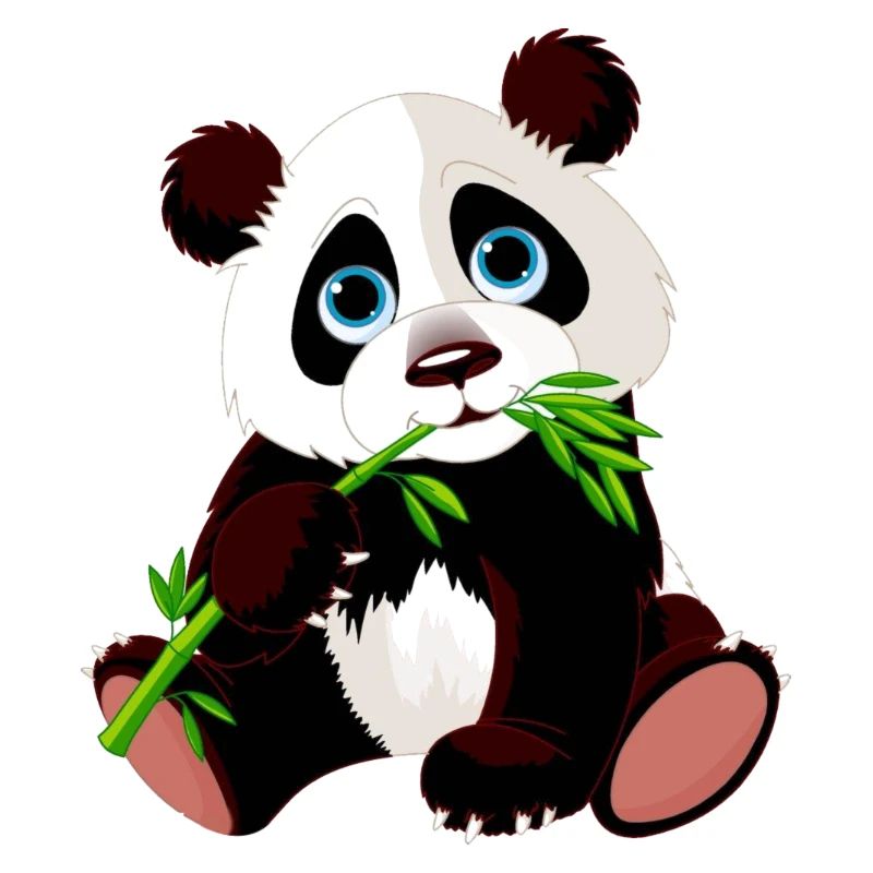 panda