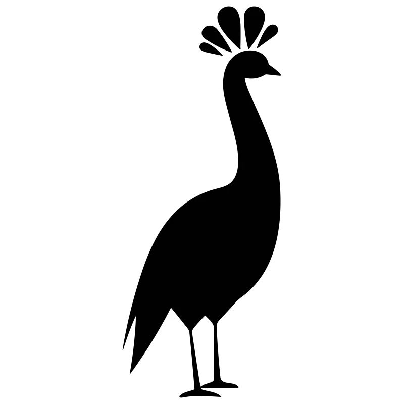 Kleiner Pfau