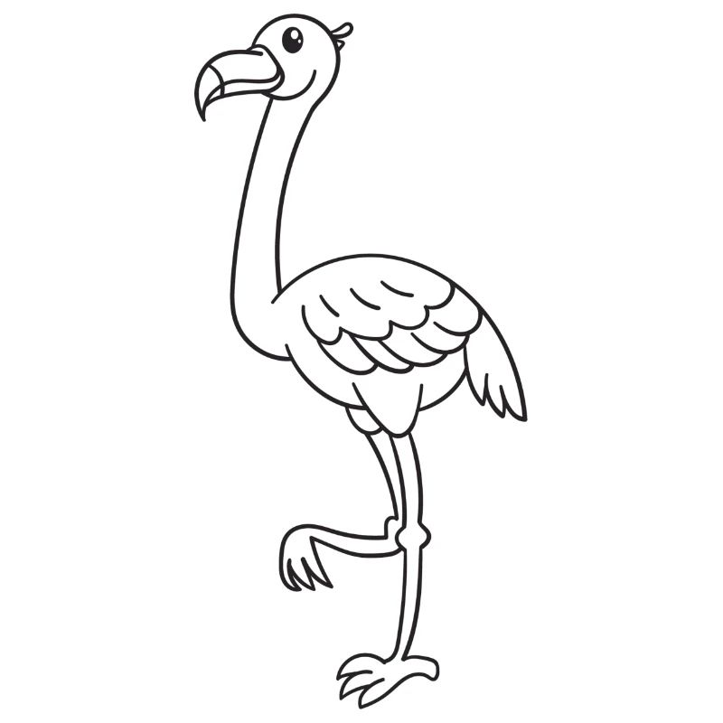 Flamingo, Vogel, Geschenk, Geschenkidee