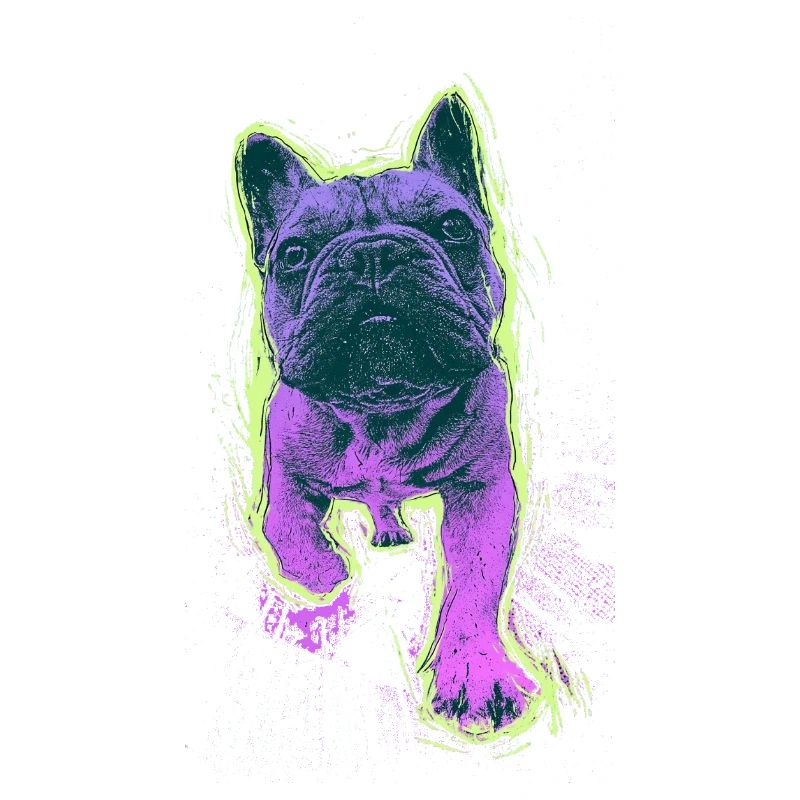 Neon Bulldog Splash