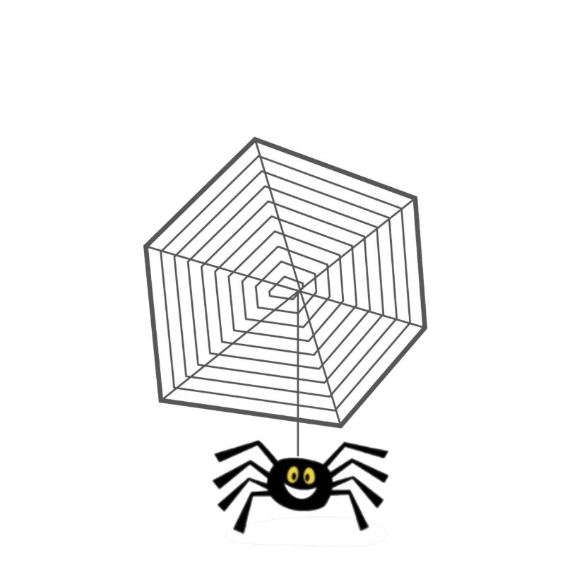 Netz mit Spinne