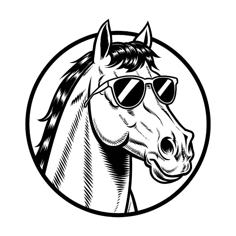 Reiten Reiten