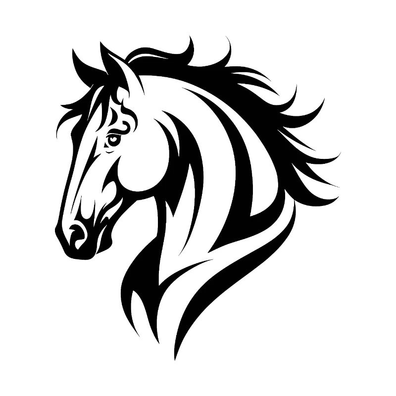 Reiten Reiten