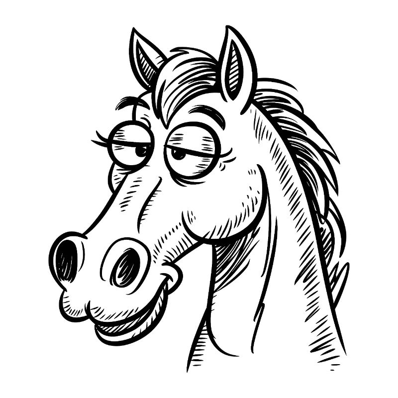 Pferd Pferde Reiten Reiter