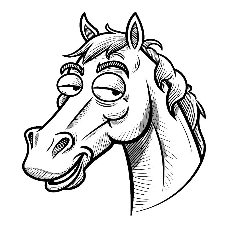 Pferd Pferde Reiten Reiter