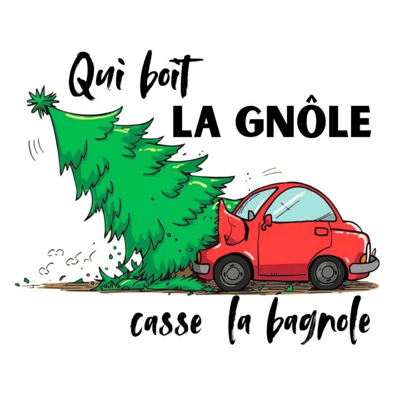QUI_BOIT_LA_GNOLE_CASSE DAS AUTO
