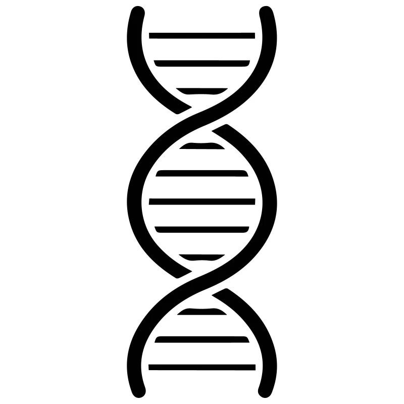 Genome