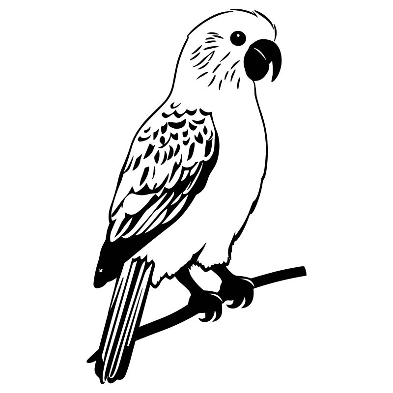 parrot