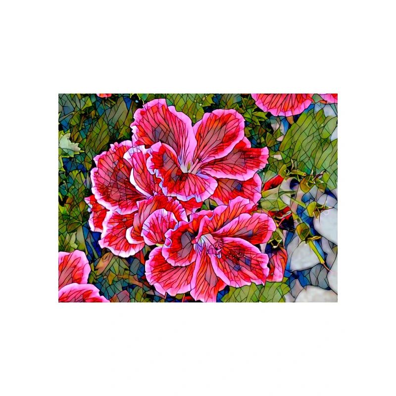 Geraniums No. 4