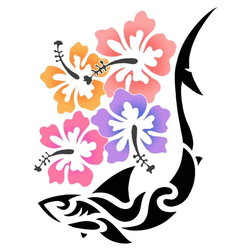 Stammeshai Hibiskus