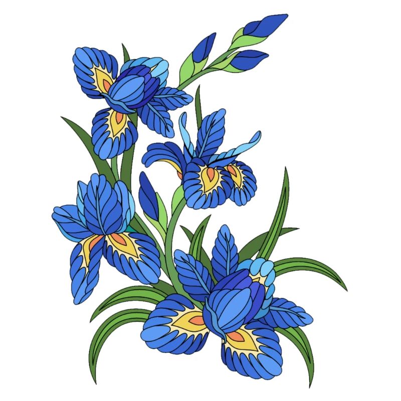 Blaue Lilien