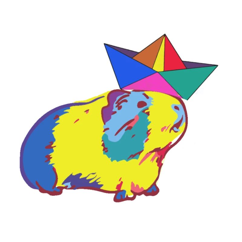 boot,papierboot,meerschweinchen,bunt,hut