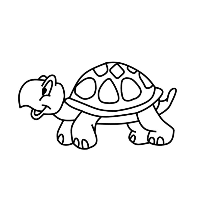Schildkröte