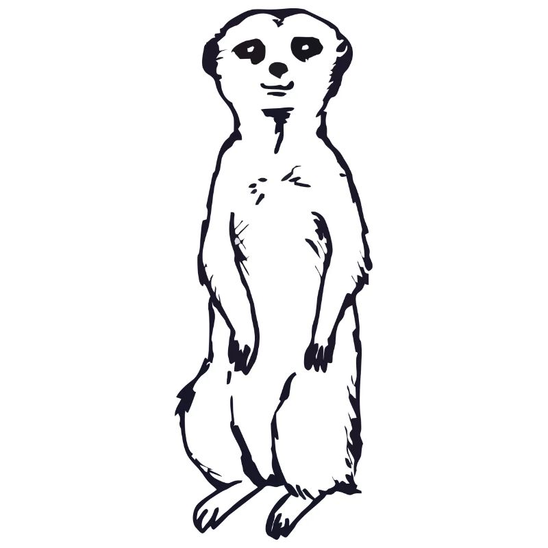 Idée cadeau bébé suricate